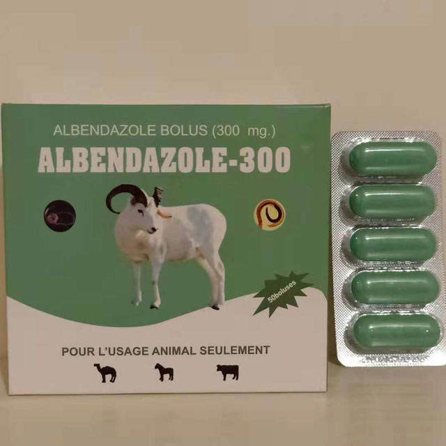 Albendazole Bolus 300mg